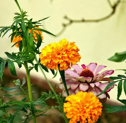 Apartamento El Zaguán De La Plata *