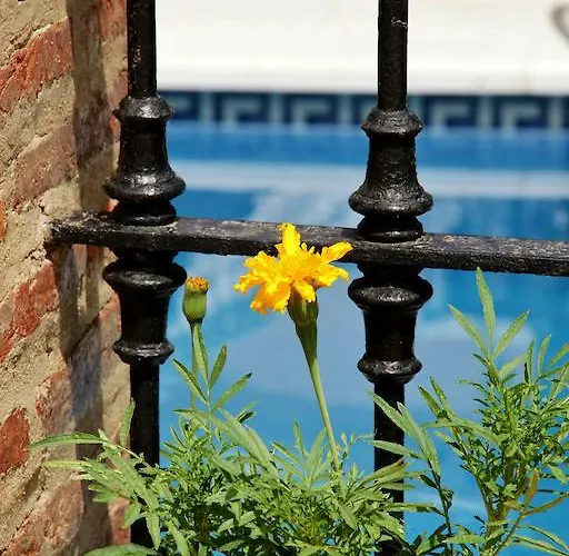 El Zaguan De La Plata