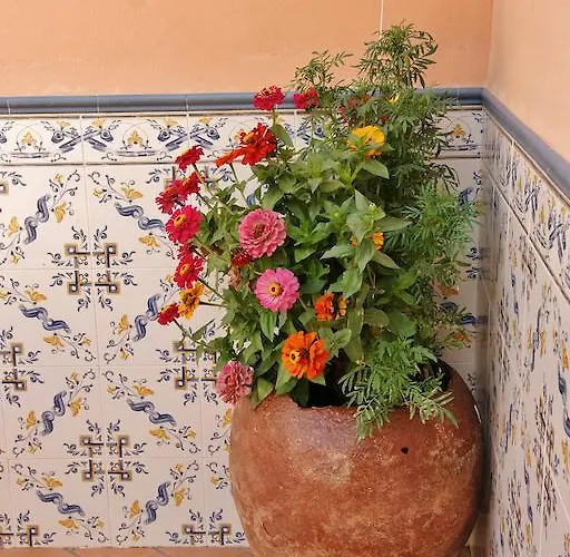 El Zaguan De La Plata Fuente de Cantos